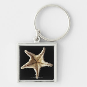 Starfish skeleton, close-up 2 key ring