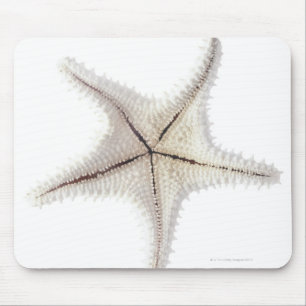 Starfish skeleton, close-up mouse pad