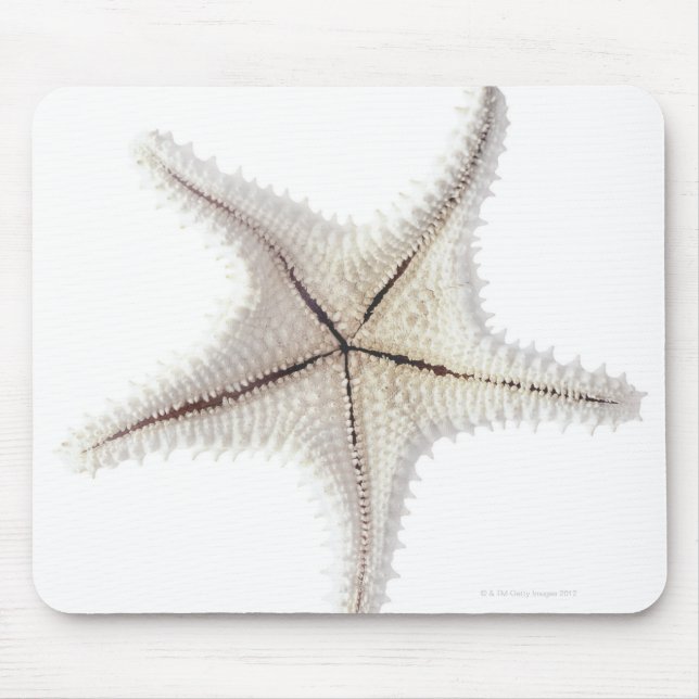Starfish skeleton, close-up mouse pad (Front)