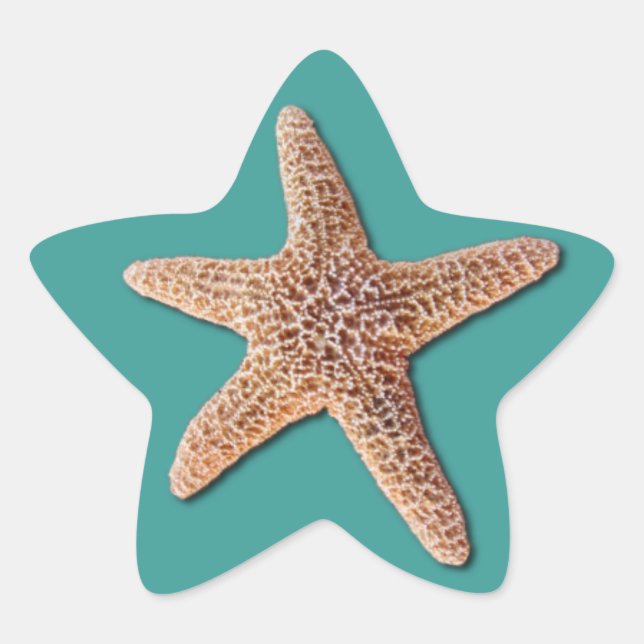 Starfish Sticker - Turquoise (Front)