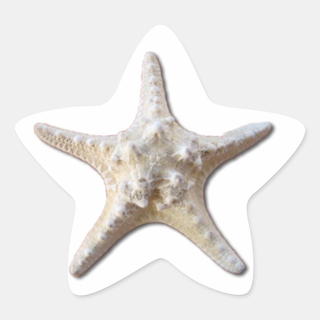 Starfish STicker - white (Front)