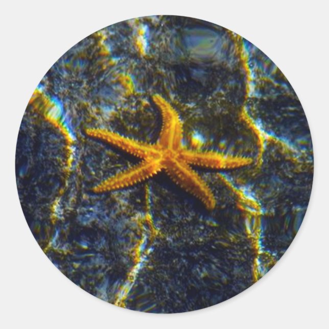 Starfish Stickers (Front)