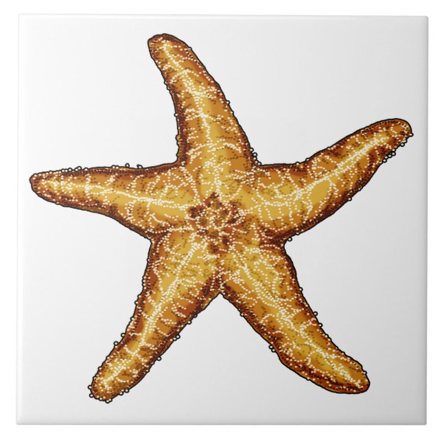Starfish Tile (Front)