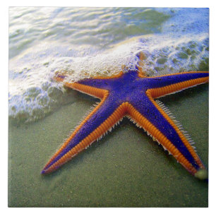 Starfish Tropical Sandy Beach Sea Wave Ceramic Tile