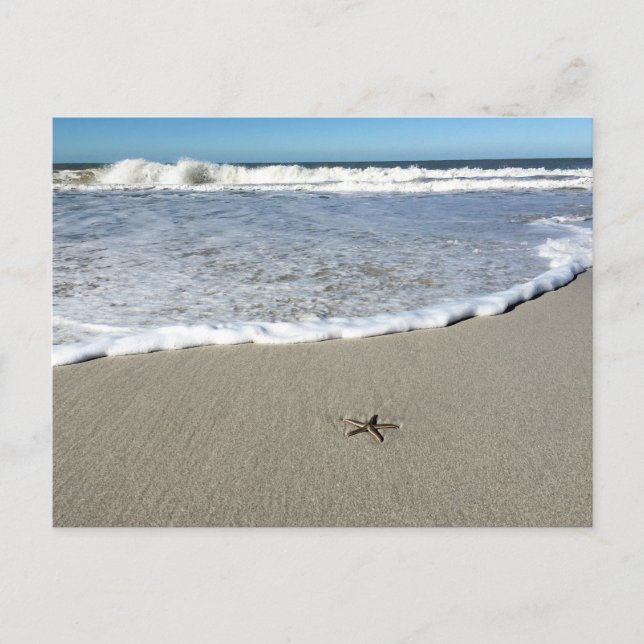 Starfish waiting for the waves postcard (Front)