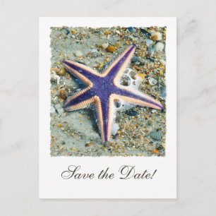 Starfish Wedding Save the Date Postcard