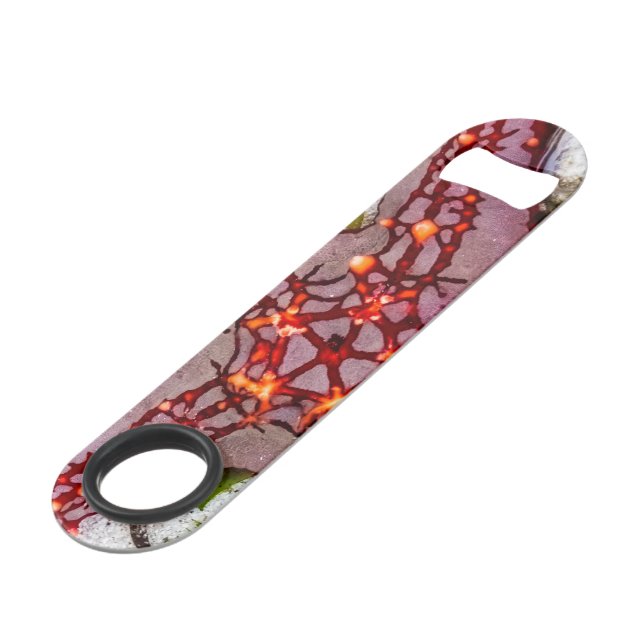 Starfish, Zanzibar, Tanzania (Back Angled)