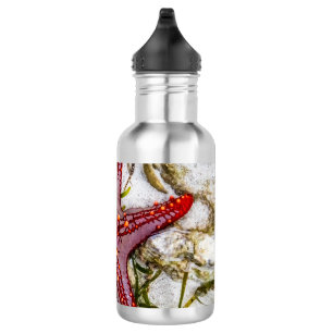 Starfish, Zanzibar, Tanzania 532 Ml Water Bottle