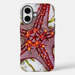 Starfish, Zanzibar, Tanzania iPhone 16 Case