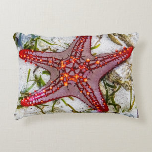 Starfish, Zanzibar, Tanzania Decorative Cushion