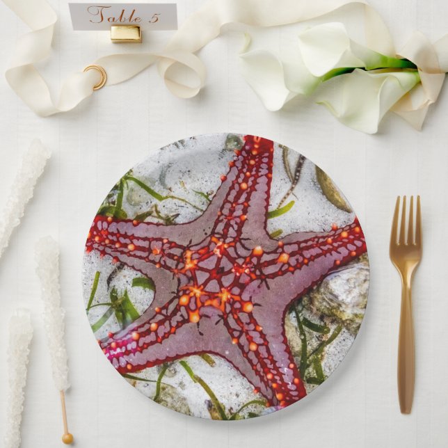 Starfish, Zanzibar, Tanzania Paper Plate (Wedding)