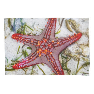 Starfish, Zanzibar, Tanzania Pillowcase