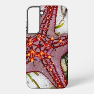 Starfish, Zanzibar, Tanzania Samsung Galaxy Case