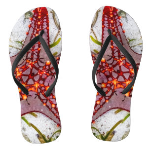 Starfish, Zanzibar, Tanzania Thongs