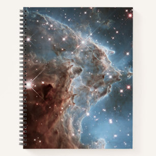 Starforming Region Ngc 2174, Monkey Head Nebula. Notebook