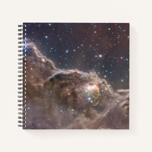 Starforming Region Ngc 3324 In The Carina Nebula. Notebook (Front)