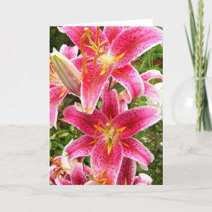 Stargazer Bouquet Card