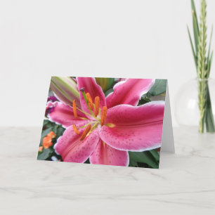 Stargazer Card