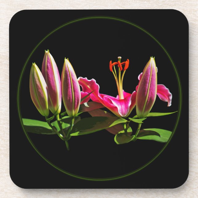 Stargazer Coaster (Front)