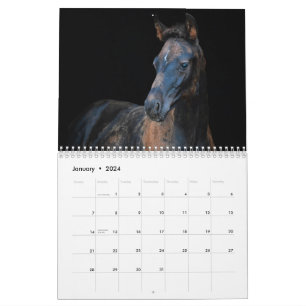 Stargazer Farm Horses Calendar