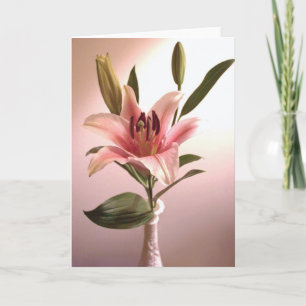 Stargazer Greeting Card
