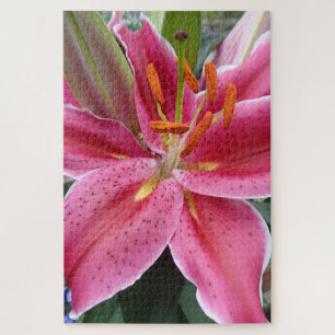 Stargazer Jigsaw Puzzle