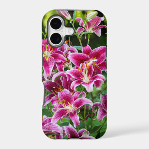 Stargazer Lilies