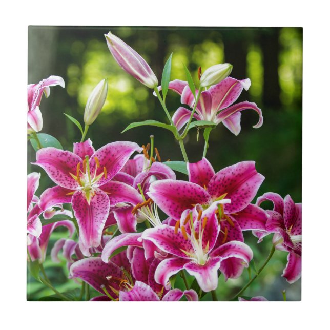 Stargazer Lilies Ceramic Tile (Front)
