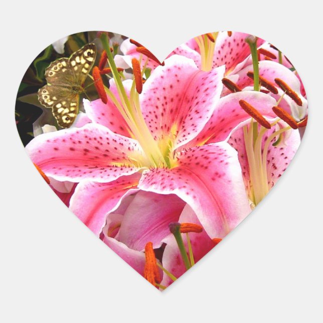 "Stargazer" Lilies Heart Sticker (Front)