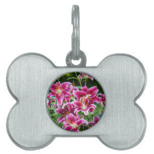 Stargazer Lilies Pet Name Tag