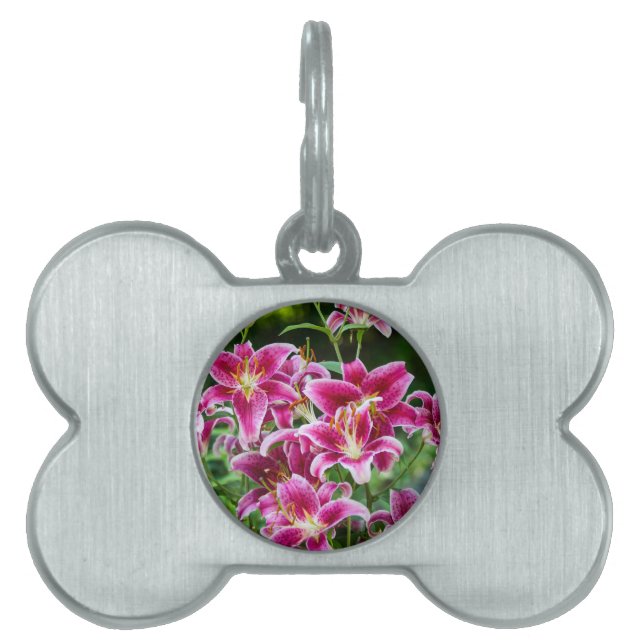 Stargazer Lilies Pet Name Tag (Front)