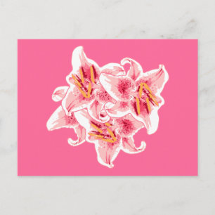 Stargazer Lilies Postcard