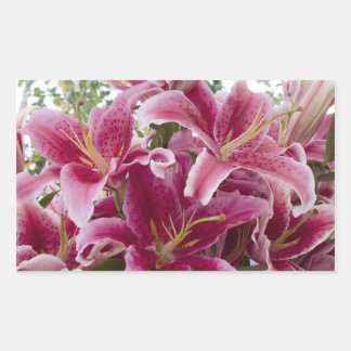 Stargazer Lilies Rectangular Sticker