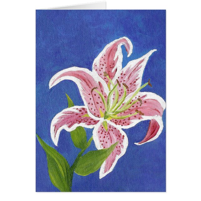 Stargazer Lily Blank card (Front)