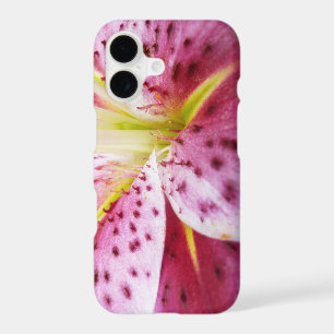Stargazer Lily Bright Magenta Floral