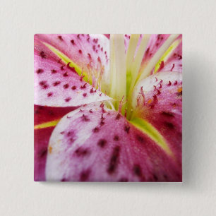 Stargazer Lily Bright Magenta Floral 15 Cm Square Badge