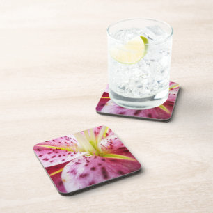 Stargazer Lily Bright Magenta Floral Coaster