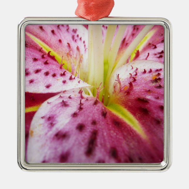 Stargazer Lily Bright Magenta Floral Metal Tree Decoration (Front)