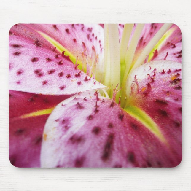 Stargazer Lily Bright Magenta Floral Mouse Pad (Front)