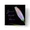 Stargazer Lily Bud