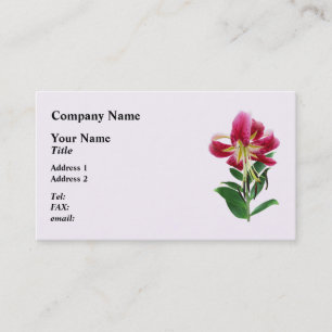 Stargazer Lily Looking Down Business Card