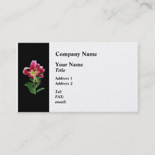 Stargazer Lily Looking Down Business Card
