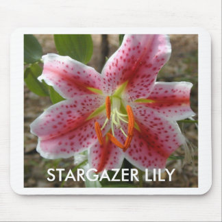 STARGAZER LILY mouse pad