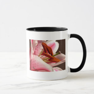 Stargazer Lily Mug