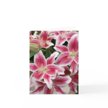 Stargazer Lily Note Card - Blank
