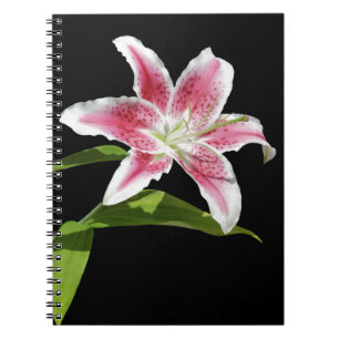 Stargazer Lily Notebook