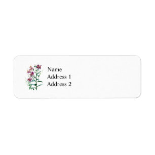 Stargazer Lily Plants Return Address Label