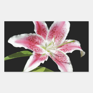 Stargazer Lily Rectangular Sticker