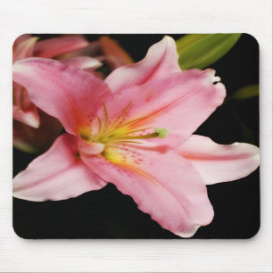 'Stargazer' Mousepads