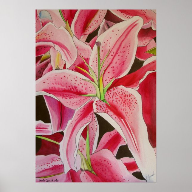 Stargazer pink lily watercolor original art poster (Front)